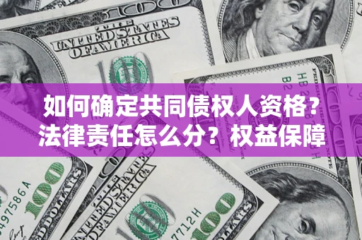 北京如何确定共同债权人资格？法律责任怎么分？权益保障技巧揭秘！