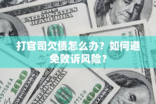 北京打官司欠债怎么办？如何避免败诉风险？