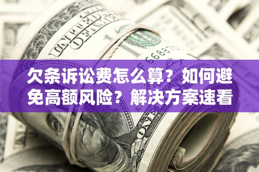 北京欠条诉讼费怎么算？如何避免高额风险？解决方案速看！