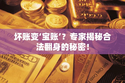 北京坏账变‘宝账’？专家揭秘合法翻身的秘密！