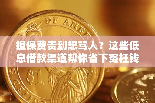 北京担保费贵到想骂人？这些低息借款渠道帮你省下冤枉钱