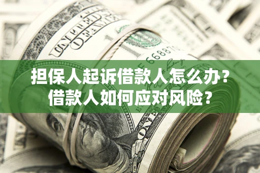 北京担保人起诉借款人怎么办？借款人如何应对风险？