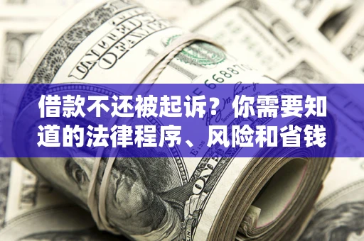 北京借款不还被起诉？你需要知道的法律程序、风险和省钱技巧